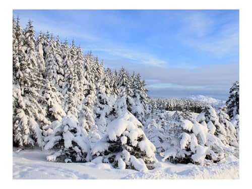 1500 Teile Puzzles – Herausforderung Spielzeug-Schnee,Fichten,Bäume 87x57cm von THISIT