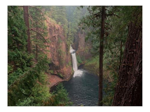1500 Teile Puzzles – Herausforderung Spielzeug-Wälder,Bäume,Klippe,Wasserfall,Landschaft,Natur 87x57cm von THISIT