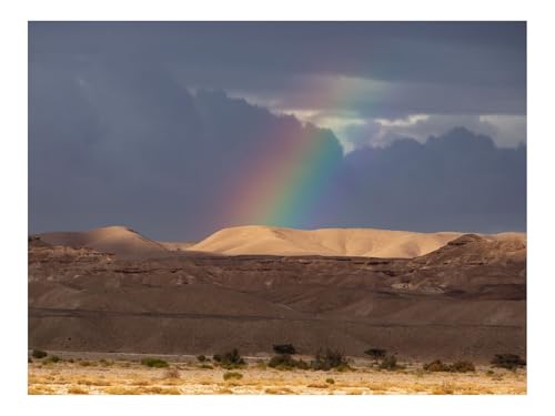 1500 Teile Puzzles – Herausforderung Spielzeug-Wüste,Hügel,Regenbogen 87x57cm von THISIT