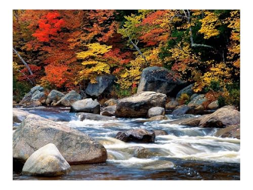 1500 Teile Puzzles für Erwachsene PäDagogisches Spiel-Ablehnen,orange,Umrisse 87x57cm von THISIT
