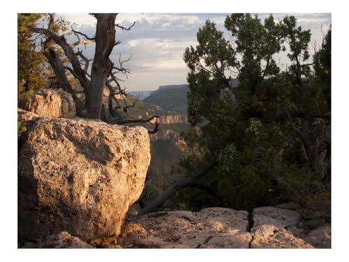 1500 Teile Puzzles für Erwachsene PäDagogisches Spiel-Canyon,Steine,Baum 87x57cm 1500 Teile Puzzles für Erwachsene PäDagogisches Spiel-Canyon,Steine,Baum 87x57cm von THISIT