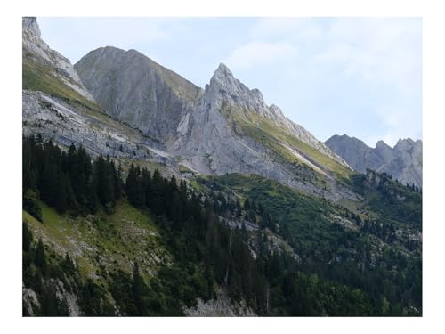 1500 Teile Puzzles für Erwachsene PäDagogisches Spiel-Felsen,Relief,Hang,Bäume 87x57cm von THISIT