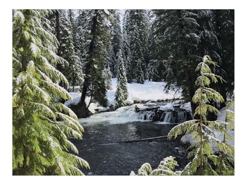 1500 Teile Puzzles für Erwachsene PäDagogisches Spiel-Fluss,Fichten,Schnee 87x57cm von THISIT
