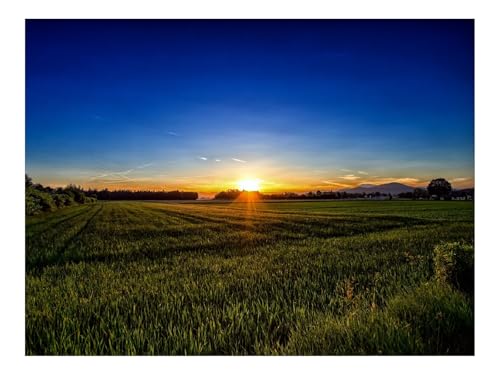 1500 Teile Puzzles für Erwachsene PäDagogisches Spiel-Kärnten,Österreich,Gras 87x57cm 1500 Teile Puzzles für Erwachsene PäDagogisches Spiel-Kärnten,Österreich,Gras 87x57cm von THISIT