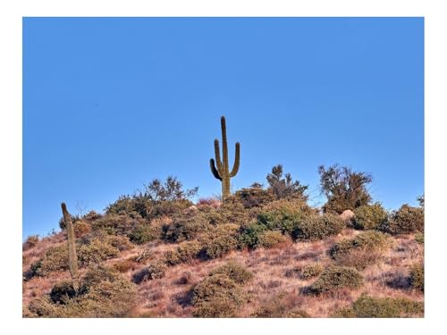 1500 Teile Puzzles für Erwachsene PäDagogisches Spiel-Kakteen,Prärie,Büsche 87x57cm 1500 Teile Puzzles für Erwachsene PäDagogisches Spiel-Kakteen,Prärie,Büsche 87x57cm von THISIT