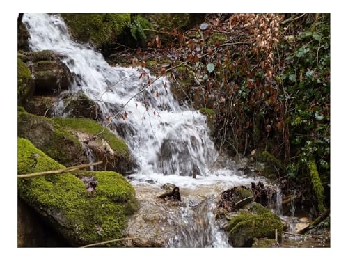 1500 Teile Puzzles für Erwachsene PäDagogisches Spiel-Wasserfall,Wasser,Felsen,Natur,Landschaft 87x57cm 1500 Teile Puzzles für Erwachsene PäDagogisches Spiel-Wasserfall,Wasser,Felsen,Natur,Landschaft 87x57cm von THISIT