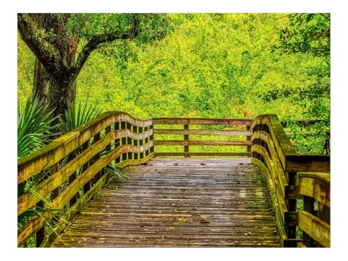 1500 Teile Puzzles für Erwachsene PäDagogisches Spiel-Weg,Bretter,Bäume 87x57cm 1500 Teile Puzzles für Erwachsene PäDagogisches Spiel-Weg,Bretter,Bäume 87x57cm von THISIT