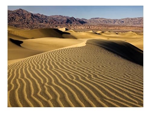 1500 Teile Puzzles für Erwachsene PäDagogisches Spiel-Wüste,Sand,Dünen 87x57cm von THISIT