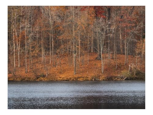 1500 Teile WunderschöNes Dekoration Puzzle Geschenke-Bäume,Wälder,Blätter,Trocken,Fluss,Herbst,Natur 87x57cm 1500 Teile WunderschöNes Dekoration Puzzle Geschenke-Bäume,Wälder,Blätter,Trocken,Fluss,Herbst,Natur 87x57cm von THISIT