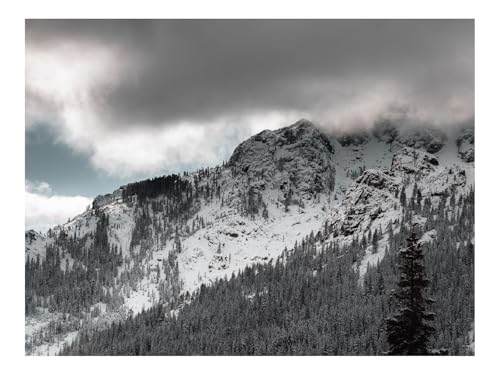 1500 Teilige Puzzles für Erwachsene Lernspiel-Berge,Wälder,Bäume,Wolken,Landschaft,Natur 87x57cm 1500 Teilige Puzzles für Erwachsene Lernspiel-Berge,Wälder,Bäume,Wolken,Landschaft,Natur 87x57cm von THISIT