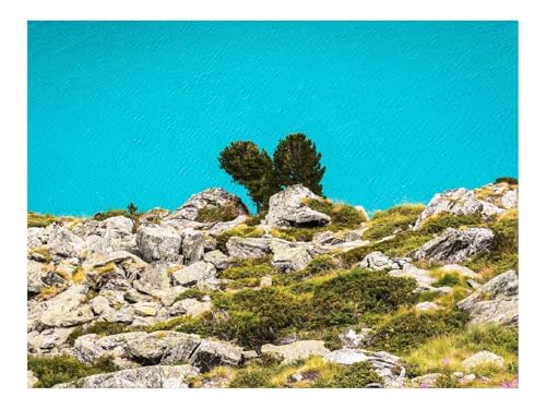 1500 Teilige Puzzles für Erwachsene Lernspiel-Büsche,Steine,Moos 87x57cm von THISIT