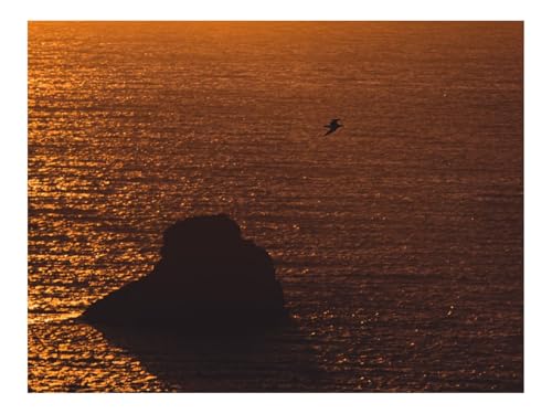 1500 Teilige Puzzles für Erwachsene Lernspiel-Meer,Sonnenuntergang,Felsen,Möwe,Blendung 87x57cm von THISIT