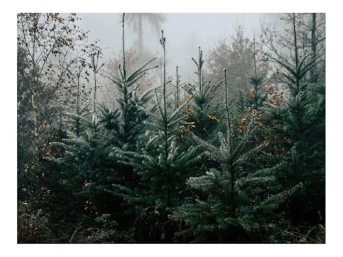 1500 Teilige Puzzles für Erwachsene Lernspiel-Wälder,Kiefern,Bäume,Nebel,Natur,Landschaft 87x57cm 1500 Teilige Puzzles für Erwachsene Lernspiel-Wälder,Kiefern,Bäume,Nebel,Natur,Landschaft 87x57cm von THISIT