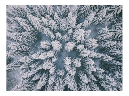 1500 Teilige Puzzles für Erwachsene Lernspiel-Wälder,Luftbild,Fichten,Schnee 87x57cm 1500 Teilige Puzzles für Erwachsene Lernspiel-Wälder,Luftbild,Fichten,Schnee 87x57cm von THISIT