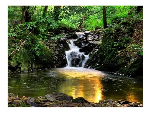 1500 Teilige Puzzles für Erwachsene Lernspiel-Wasserfälle,Vegetation,Bäume,Bach,Modulationen 87x57cm 1500 Teilige Puzzles für Erwachsene Lernspiel-Wasserfälle,Vegetation,Bäume,Bach,Modulationen 87x57cm von THISIT