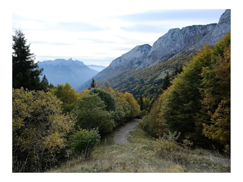 1500 Teilige Puzzles für Erwachsene Lernspiel-Weg,Bäume,Berge,Natur 87x57cm von THISIT