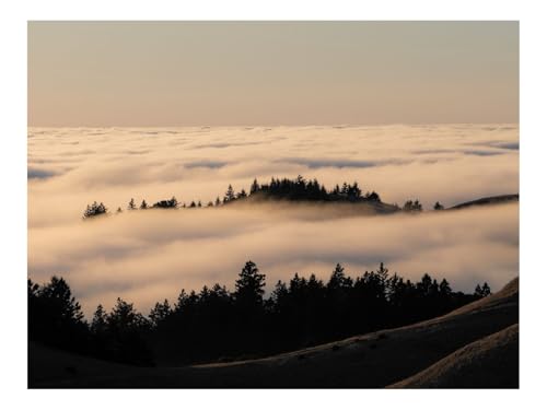 500 Teile Erwachsenenpuzzle ab 14 Jahren-Bäume,Nebel,Wälder,Wolken,Himmel 52x38cm von THISIT