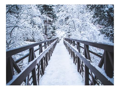 500 Teile Erwachsenenpuzzle ab 14 Jahren-Brücke,Schnee,Bäume 52x38cm 500 Teile Erwachsenenpuzzle ab 14 Jahren-Brücke,Schnee,Bäume 52x38cm von THISIT