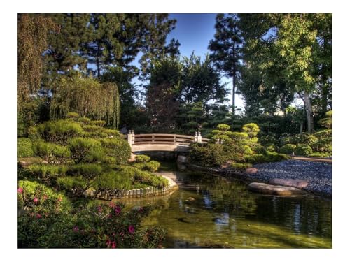 500 Teile Erwachsenenpuzzle ab 14 Jahren-Brücke,Vegetation,Bäume 52x38cm 500 Teile Erwachsenenpuzzle ab 14 Jahren-Brücke,Vegetation,Bäume 52x38cm von THISIT
