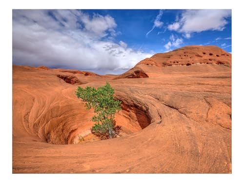 500 Teile Erwachsenenpuzzle ab 14 Jahren-Canyon,Felsen,Trichter 52x38cm 500 Teile Erwachsenenpuzzle ab 14 Jahren-Canyon,Felsen,Trichter 52x38cm von THISIT