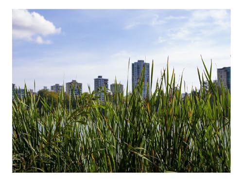 500 Teile Erwachsenenpuzzle ab 14 Jahren-Gebäude,Gräser,Stadt 52x38cm 500 Teile Erwachsenenpuzzle ab 14 Jahren-Gebäude,Gräser,Stadt 52x38cm von THISIT