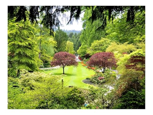 500 Teile Erwachsenenpuzzle ab 14 Jahren-Kanada,Butchart,Gärten,Bäume, 52x38cm 500 Teile Erwachsenenpuzzle ab 14 Jahren-Kanada,Butchart,Gärten,Bäume, 52x38cm von THISIT