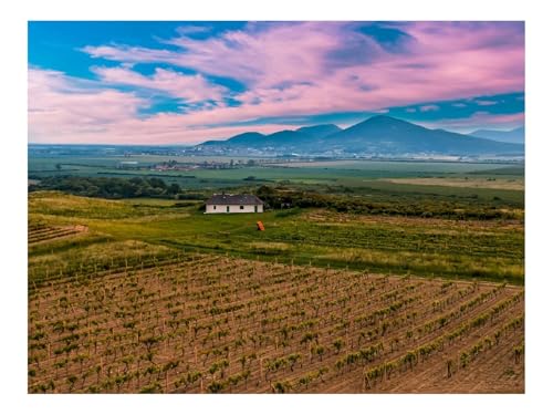 500 Teile Erwachsenenpuzzle ab 14 Jahren-Slowakei,Weinberg,Feld,Himmel 52x38cm 500 Teile Erwachsenenpuzzle ab 14 Jahren-Slowakei,Weinberg,Feld,Himmel 52x38cm von THISIT