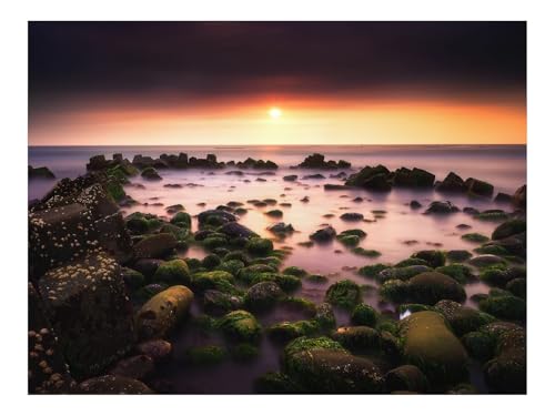 500 Teile Erwachsenenpuzzle ab 14 Jahren-Sonnenuntergang,Horizont,Steine,Moos 52x38cm von THISIT