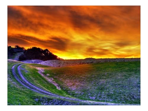 500 Teile Erwachsenenpuzzle ab 14 Jahren-Straße,Heben,Feld,Abend 52x38cm 500 Teile Erwachsenenpuzzle ab 14 Jahren-Straße,Heben,Feld,Abend 52x38cm von THISIT