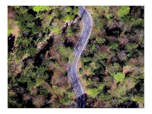 500 Teile Erwachsenenpuzzle ab 14 Jahren-Wälder,Straße,Bäume,Wicklung 52x38cm 500 Teile Erwachsenenpuzzle ab 14 Jahren-Wälder,Straße,Bäume,Wicklung 52x38cm von THISIT