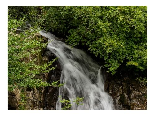 500 Teile Erwachsenenpuzzle ab 14 Jahren-Wasserfall,Pflanzen,Steine,Wasser 52x38cm 500 Teile Erwachsenenpuzzle ab 14 Jahren-Wasserfall,Pflanzen,Steine,Wasser 52x38cm von THISIT