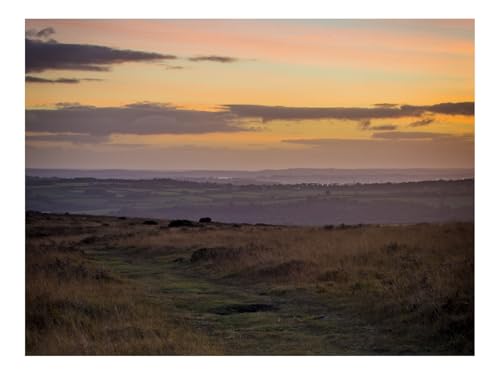 500 Teile Erwachsenenpuzzle ab 14 Jahren-Weg,Horizont,Gräser,Abenddämmerung 52x38cm 500 Teile Erwachsenenpuzzle ab 14 Jahren-Weg,Horizont,Gräser,Abenddämmerung 52x38cm von THISIT