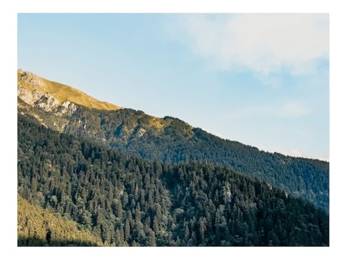 500 Teile Klassisches Puzzle für Erwachsene Und Kinder-Hang,Bäume,Wälder,Himmel 52x38cm von THISIT