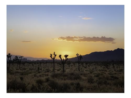 500 Teile Puzzle EIN Herausforderndes RäTsel-Wüste,Kakteen,Berge 52x38cm 500 Teile Puzzle EIN Herausforderndes RäTsel-Wüste,Kakteen,Berge 52x38cm von THISIT