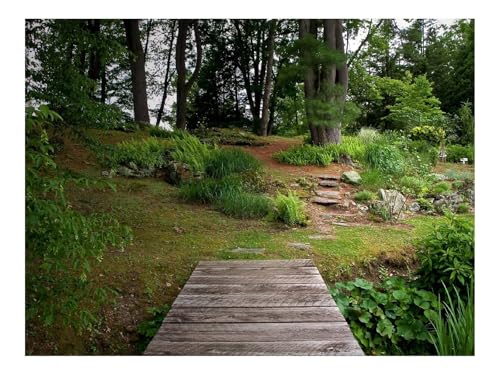 500 Teile Puzzle Erwachsene-Brücke,Holz,Garten 52x38cm 500 Teile Puzzle Erwachsene-Brücke,Holz,Garten 52x38cm von THISIT