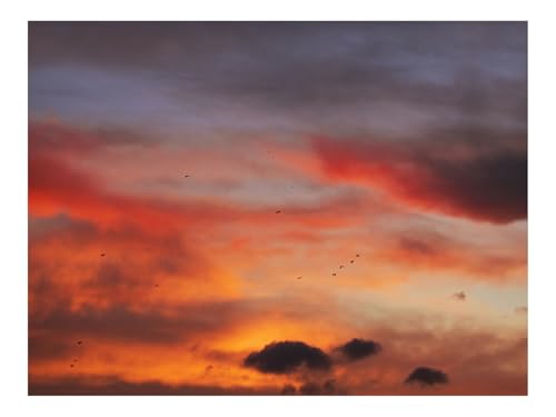 500 Teile Puzzle Erwachsene-Himmel,Wolken,Vögel,Sonnenuntergang 52x38cm von THISIT