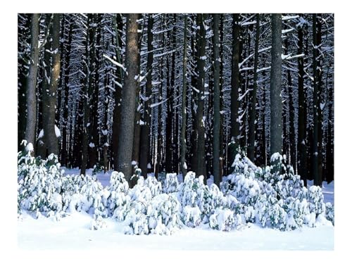 500 Teile Puzzle Erwachsene-Holz,Bäume,Stämme,Büsche,Schneeverwehungen 52x38cm 500 Teile Puzzle Erwachsene-Holz,Bäume,Stämme,Büsche,Schneeverwehungen 52x38cm von THISIT