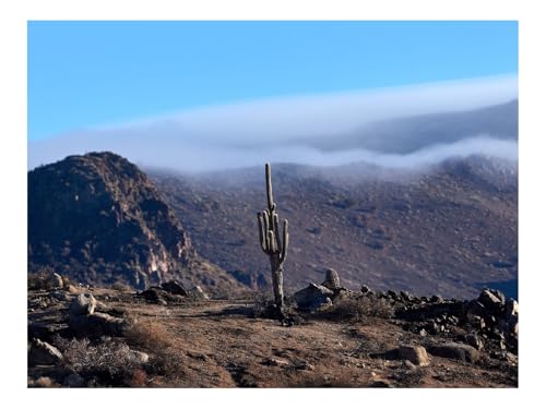 500 Teile Puzzle Erwachsene-Kakteen,Berge,Hügel 52x38cm 500 Teile Puzzle Erwachsene-Kakteen,Berge,Hügel 52x38cm von THISIT