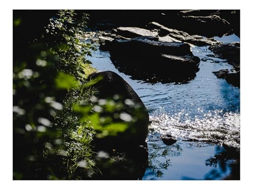 500 Teile Puzzle Familienspiel für MäNner & Frauen-Steine,Wasser,Fluss,Wellen,Blendung 52x38cm von THISIT