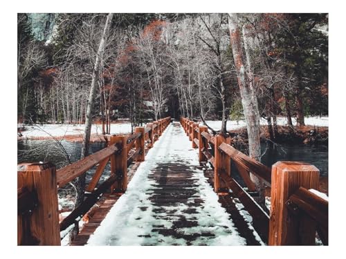 500 Teile Puzzle für Erwachsene Und Kinder ab 14 Jahren-Brücke,Schnee 52x38cm 500 Teile Puzzle für Erwachsene Und Kinder ab 14 Jahren-Brücke,Schnee 52x38cm von THISIT