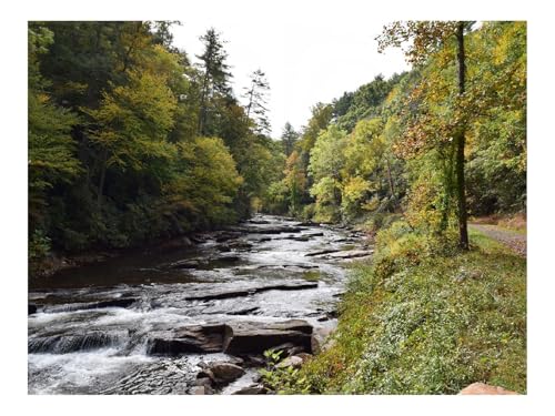 500 Teile Puzzle für Erwachsene Und Kinder ab 14 Jahren-Fluss,Wasser,Bäume,Landschaft,Natur 52x38cm von THISIT