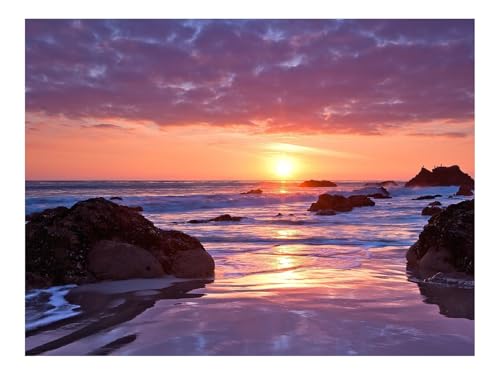 500 Teile Puzzle für Erwachsene Und Kinder ab 14 Jahren-Küste,Steine,Sand 52x38cm 500 Teile Puzzle für Erwachsene Und Kinder ab 14 Jahren-Küste,Steine,Sand 52x38cm von THISIT