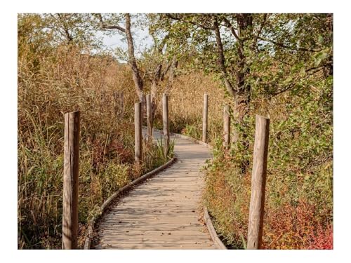 500 Teile Puzzle für Erwachsene Und Kinder ab 14 Jahren-Weg,Bretter,Büsche,Bäume 52x38cm von THISIT