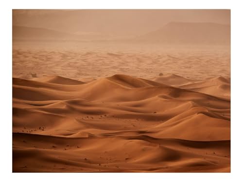 500 Teile Puzzle für Erwachsene Und Kinder ab 14 Jahren-Wüste,Dünen,Sand 52x38cm von THISIT