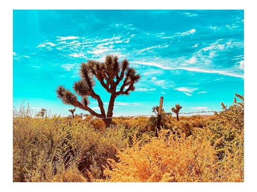 500 Teile Puzzle für Erwachsene Und Kinder ab 14 Jahren-Wüste,Kakteen,Büsche 52x38cm 500 Teile Puzzle für Erwachsene Und Kinder ab 14 Jahren-Wüste,Kakteen,Büsche 52x38cm von THISIT