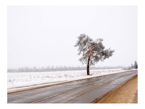 500 Teile Puzzles – Herausforderung Spielzeug-Baum,Straße,Einsam,Schnee,Schmutz 52x38cm von THISIT