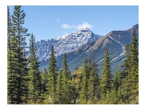 500 Teile Puzzles – Herausforderung Spielzeug-Berge,Fichten,Bäume,See,Spiegelbild,Himmel 52x38cm von THISIT