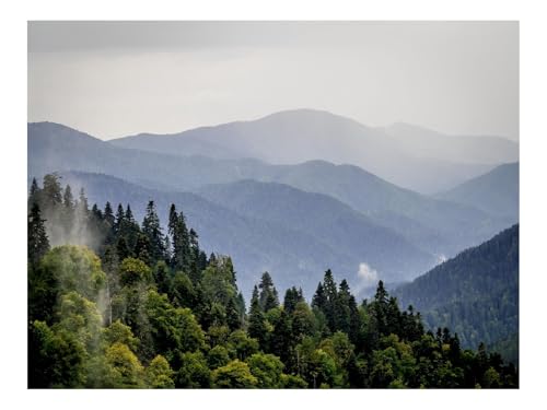 500 Teile Puzzles – Herausforderung Spielzeug-Berge,Wälder,Bäume,Nebel,Natur,Landschaft 52x38cm 500 Teile Puzzles – Herausforderung Spielzeug-Berge,Wälder,Bäume,Nebel,Natur,Landschaft 52x38cm von THISIT