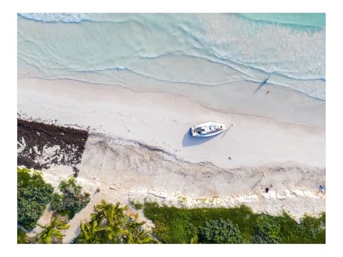 500 Teile Puzzles – Herausforderung Spielzeug-Boot,Meer,Strand,Bäume,Luftaufnahme 52x38cm von THISIT