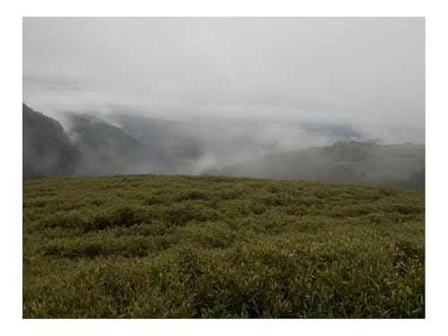 500 Teile Puzzles – Herausforderung Spielzeug-Hügel,Tal,Nebel,Landschaft 52x38cm von THISIT